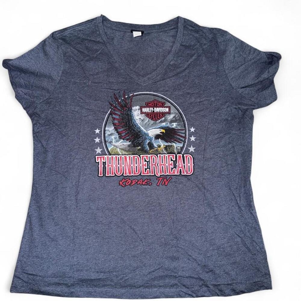 Harley Davidson Thunderhead TN Tee size XXL